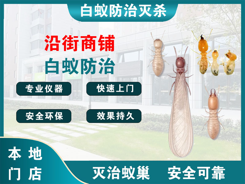 盱眙沿街商铺白蚁防治