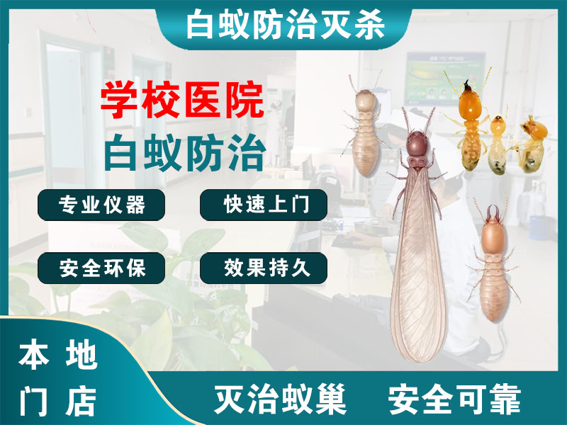 盱眙学校医院白蚁防治