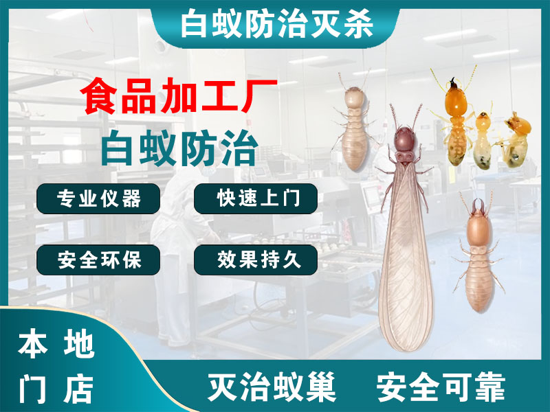 盱眙食品加工厂白蚁防治