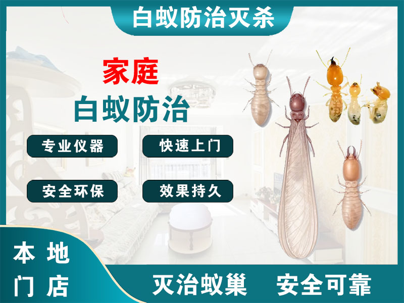 盱眙家庭白蚁防治