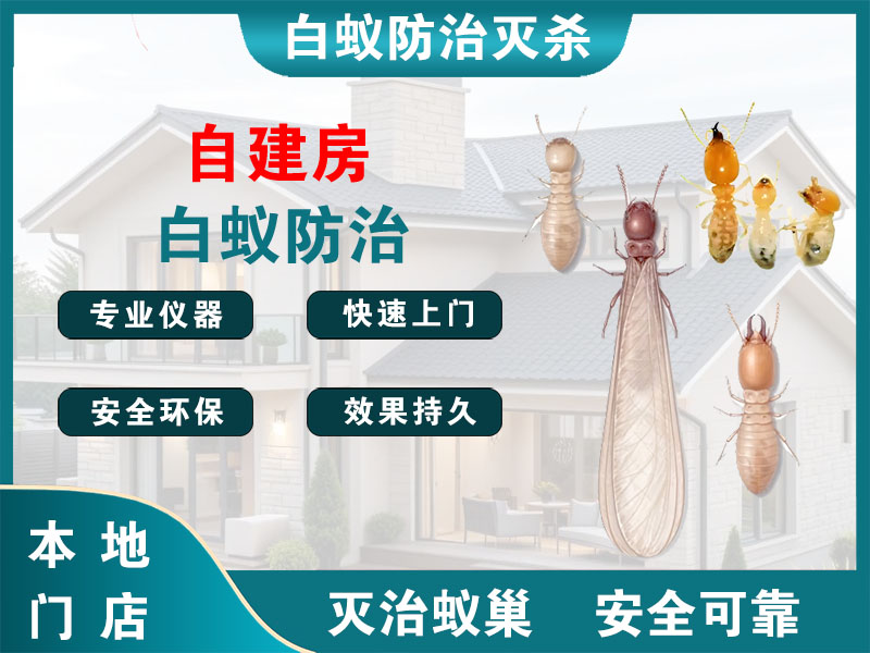 盱眙自建房白蚁防治