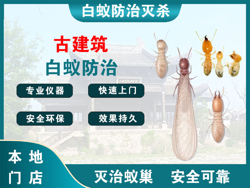 盱眙古建筑白蚁防治