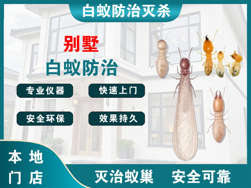 盱眙别墅白蚁防治