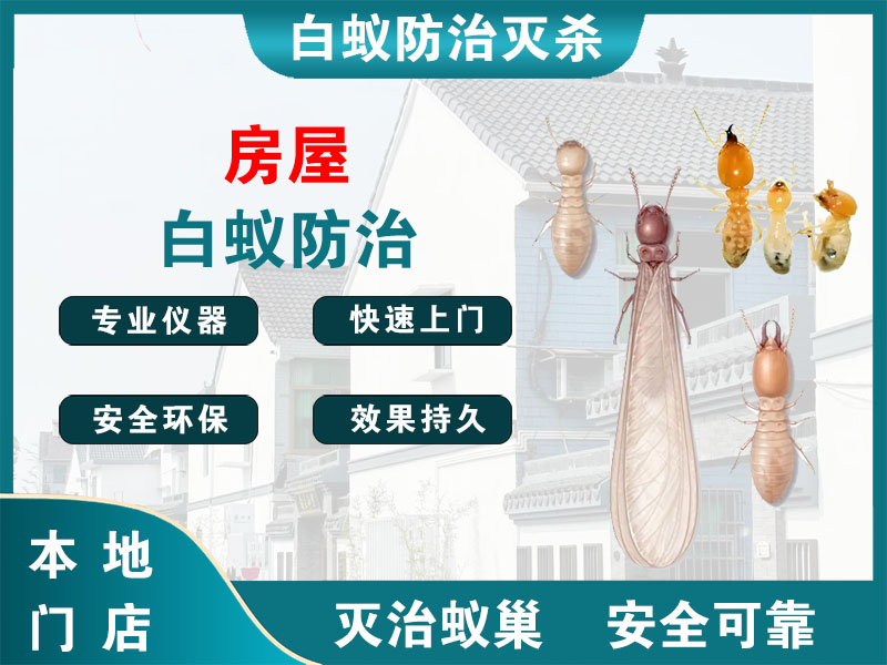 盱眙房屋白蚁防治